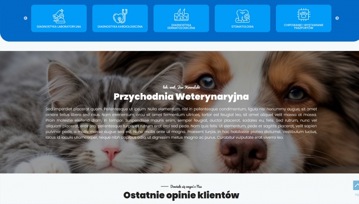 demo strony dla przychodni - demo strony dla weterynarza